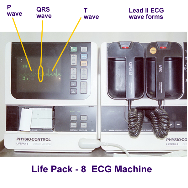 Heart Physiology List Page